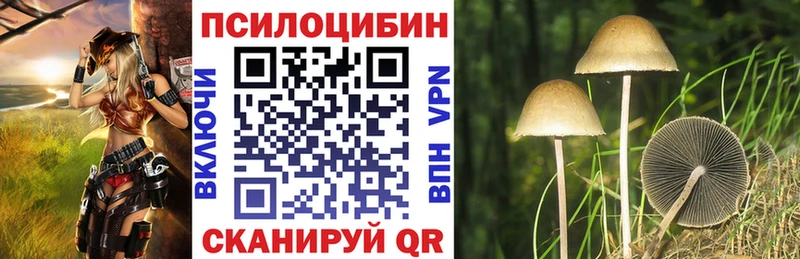 Псилоцибиновые грибы ЛСД Заречный