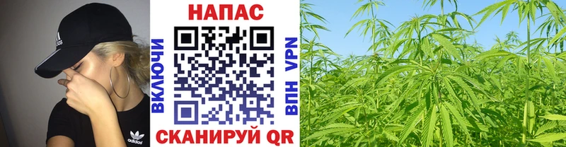 Конопля тримм  Заречный 